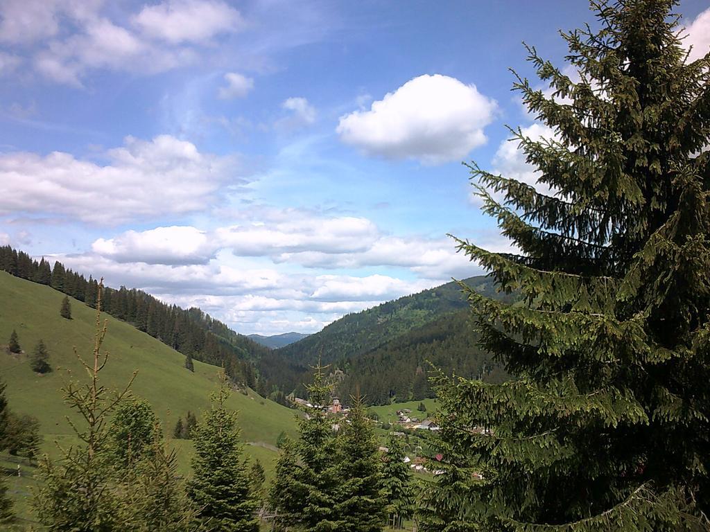 Casa Lia Hotel Valea Putnei Luaran gambar
